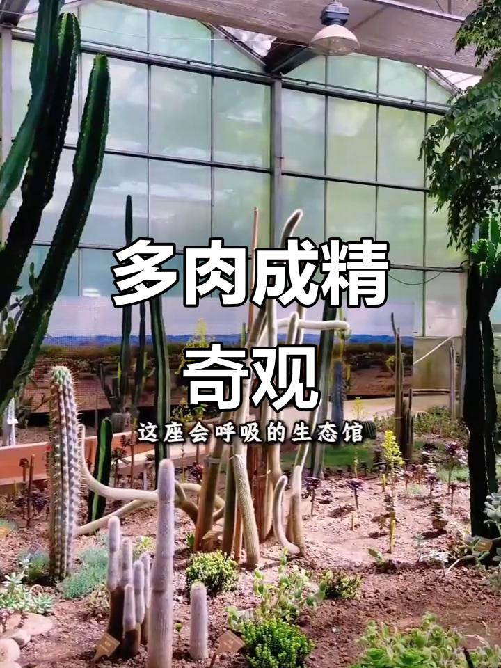 西宁植物园,多肉成精!九尾狐竟然真的会动起来!