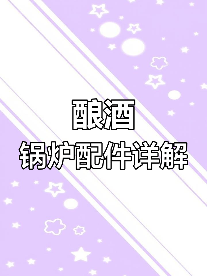 酿酒蒸汽锅炉安装全解析,细节拆解助你轻松上手