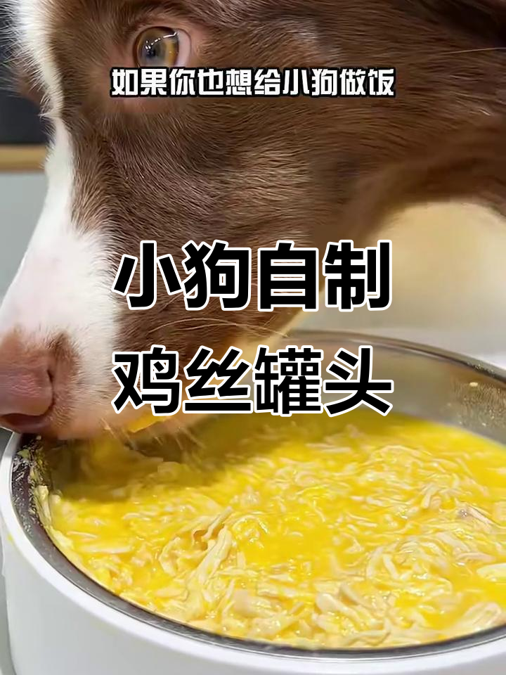 自制小狗罐头,简单又营养,鸡肉南瓜浓汤教程