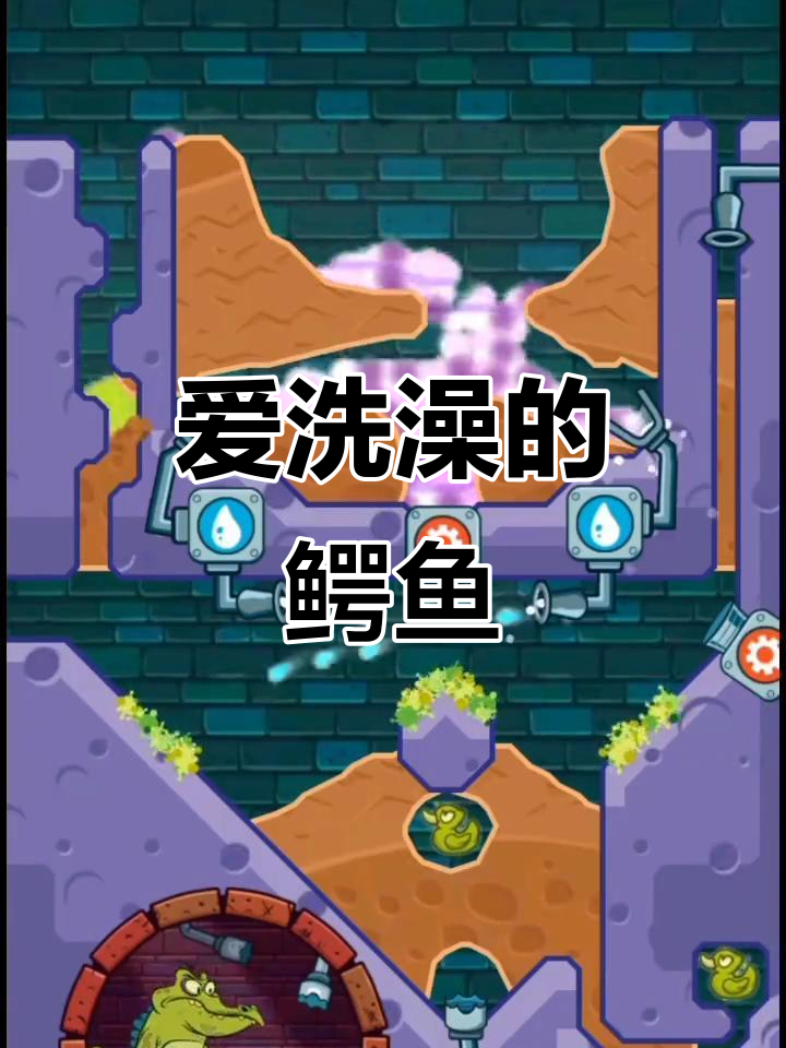 鳄鱼小顽皮爱洗澡,快来一起摸摸鱼!