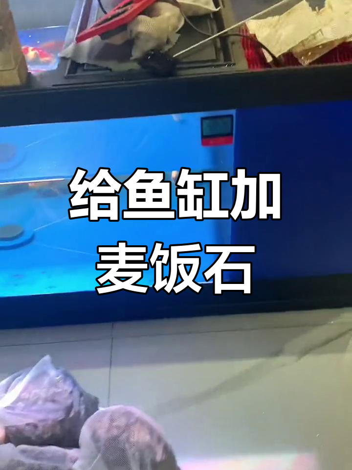 鱼缸大保健:麦饭石助力水稳定