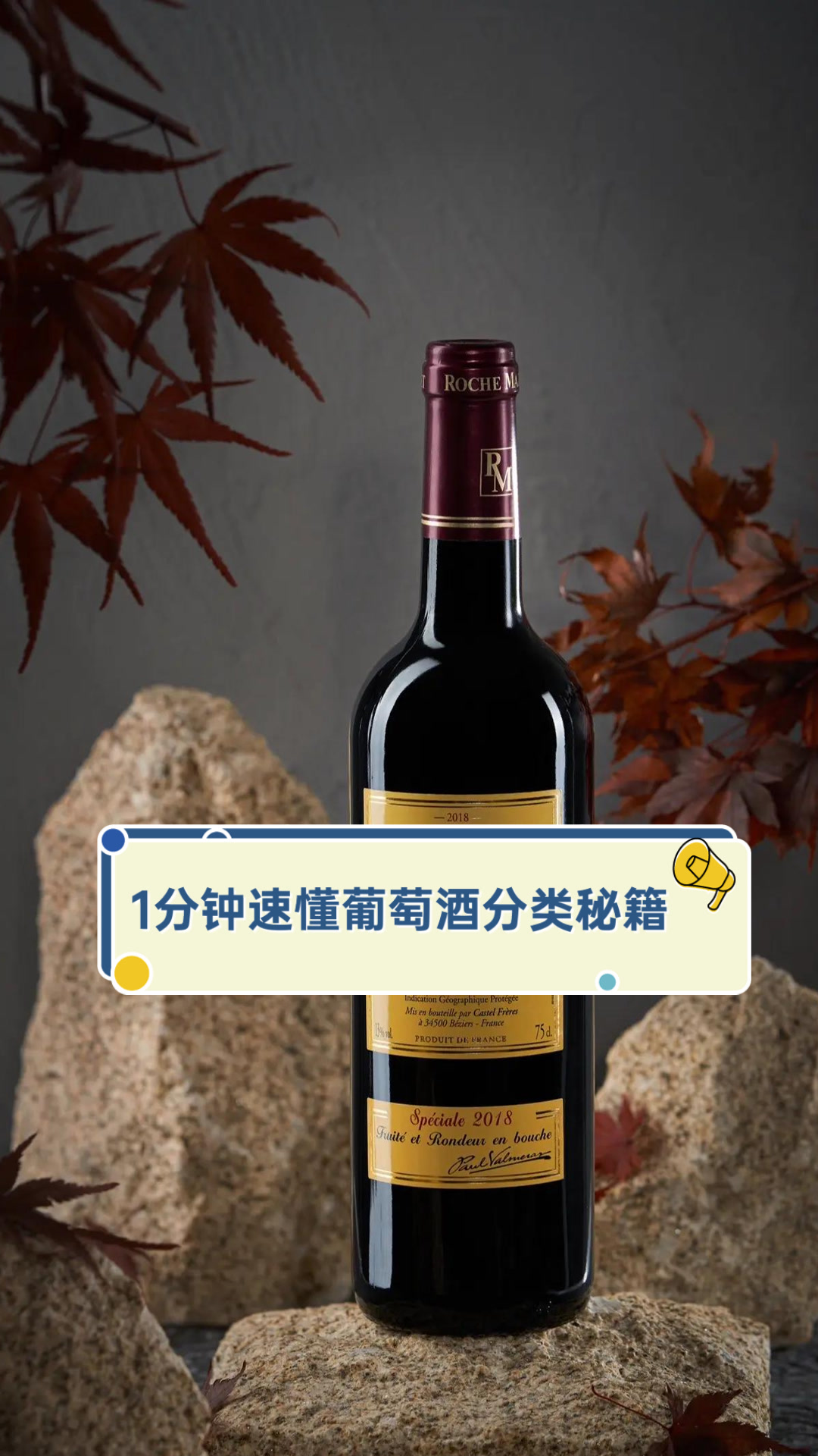 1分钟速懂葡萄酒分类秘籍