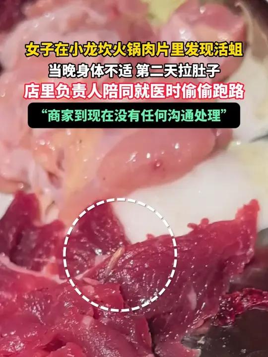 5月5日,广东深圳,女子在小龙坎火锅肉片里发现活蛆,当晚身体不适 第二天拉肚子,店里负责人