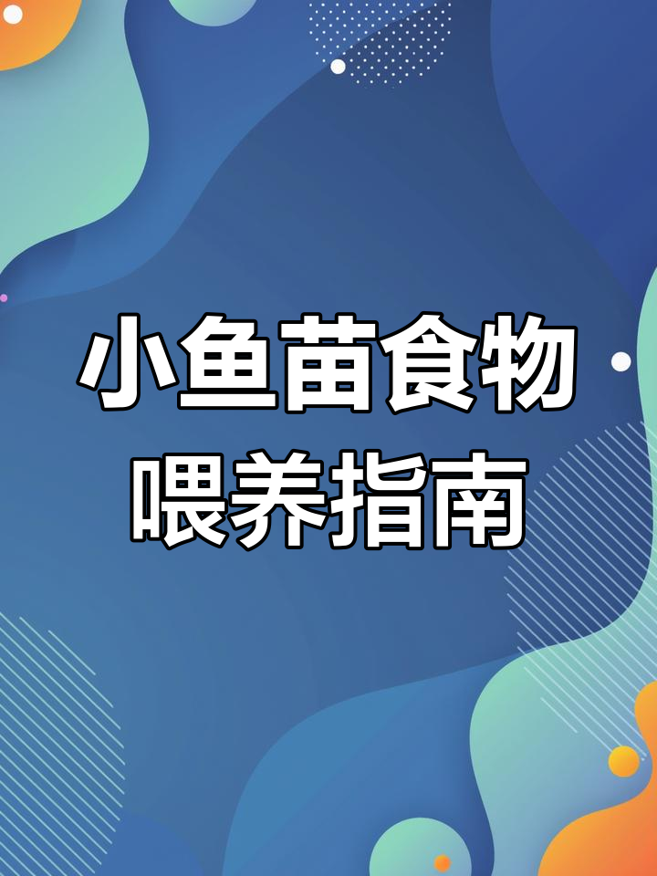 泰国斗鱼小鱼苗吃什么?从草履虫到丰年虾的成长之路