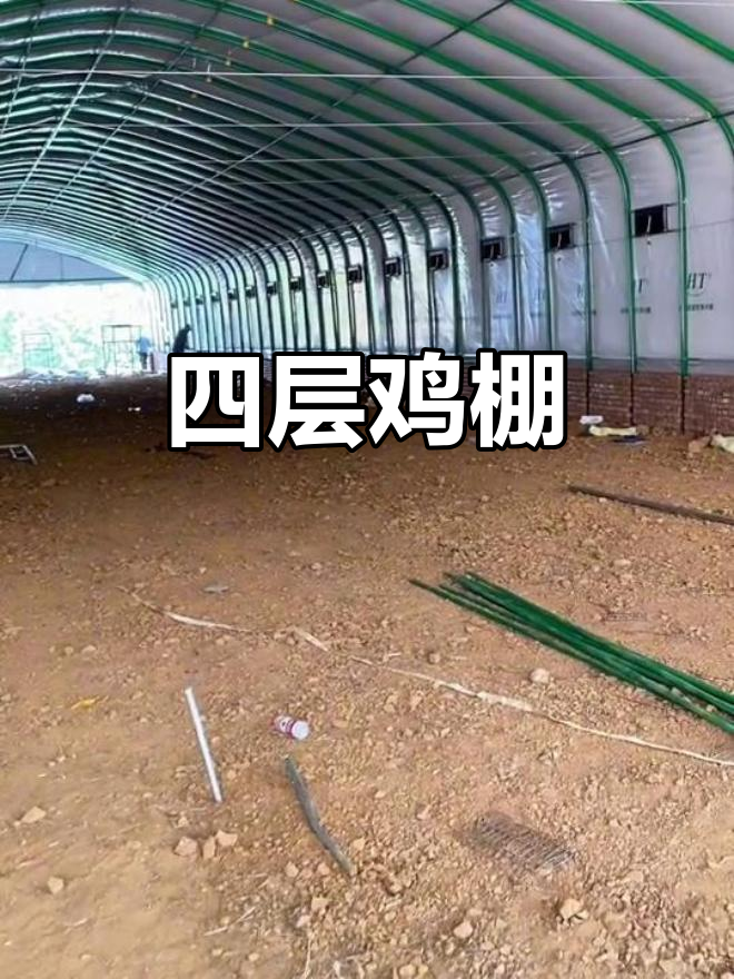 这座鸡棚能容纳7000只蛋鸡,四层设计高效又宽敞