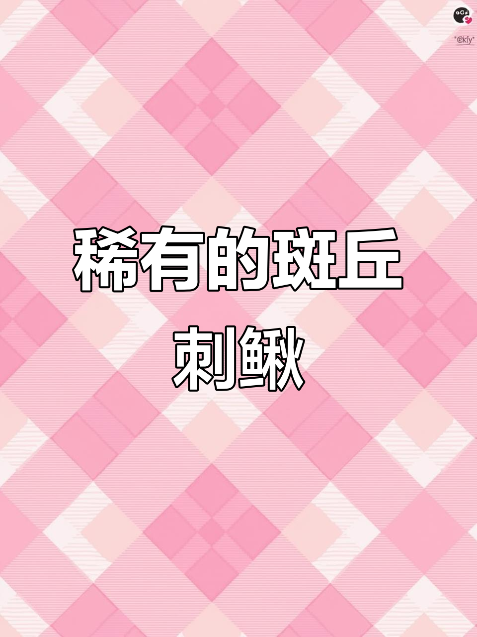 稀有斑丘刺鳅鱼,山坑河流中的宝藏