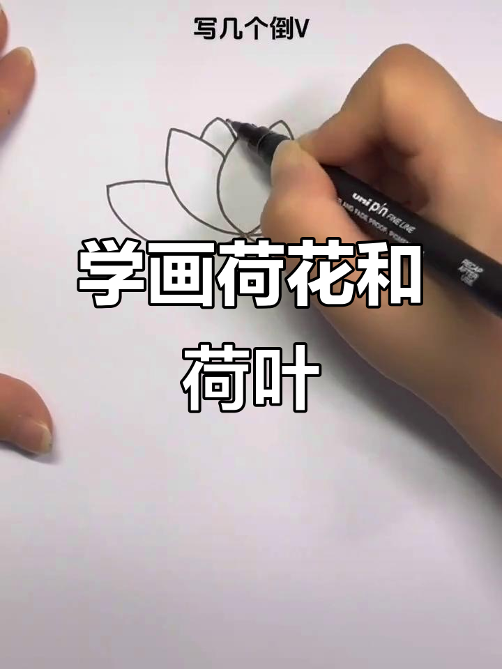 轻松学画荷花与莲叶,亲子动手乐趣多