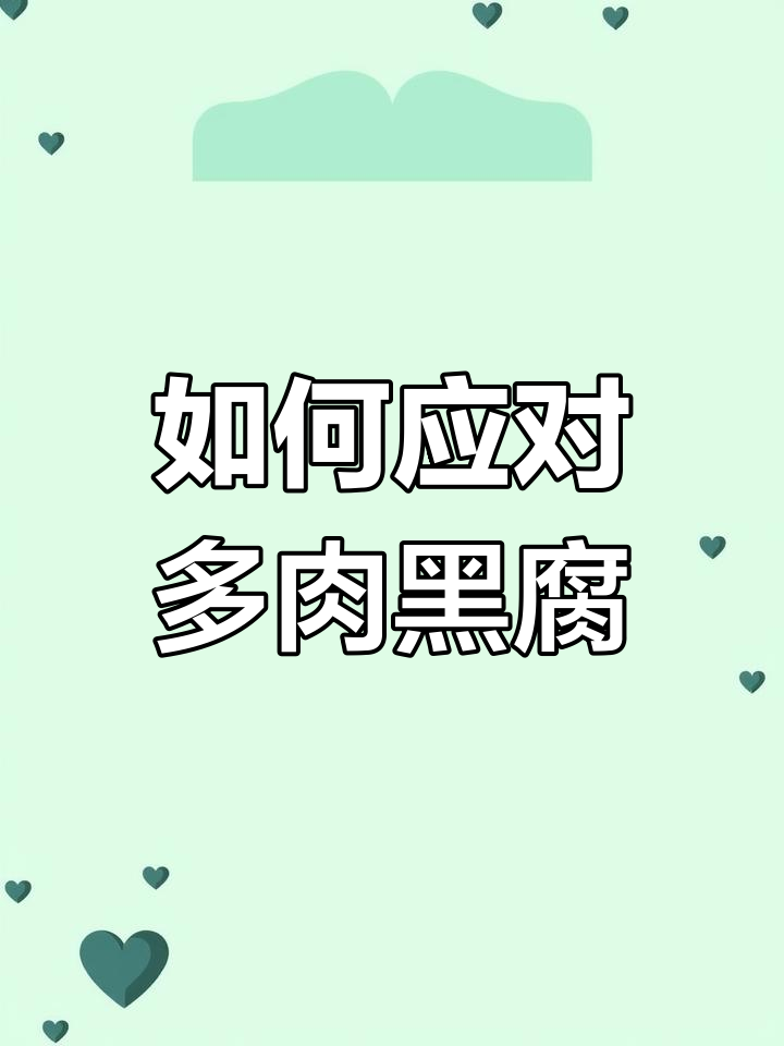 多肉黑腐病如何防治?新手必学技巧