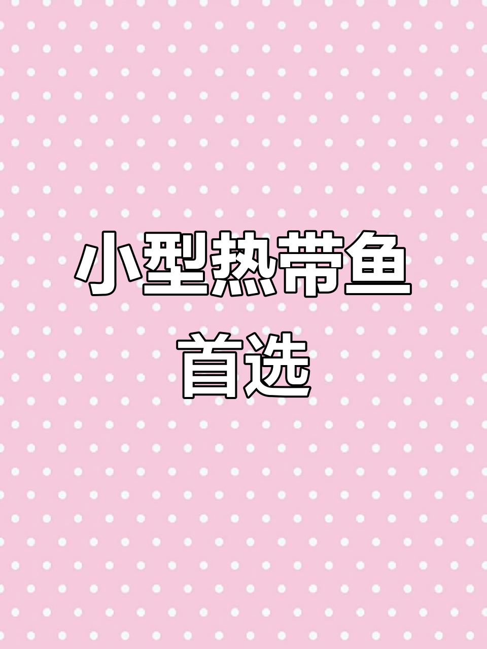 玻璃猫孔雀鱼:养小鱼的最佳选择,迷你热带鱼的魅力