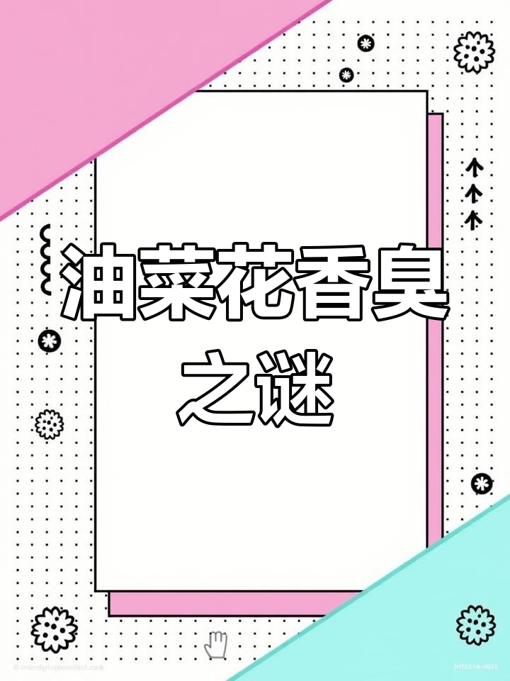 油菜花的气味到底如何?