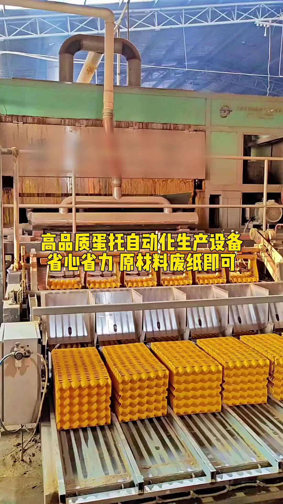 鸡蛋托想高效制作,离不开它的助力 蛋托机 鸡蛋蛋托 鸡蛋托