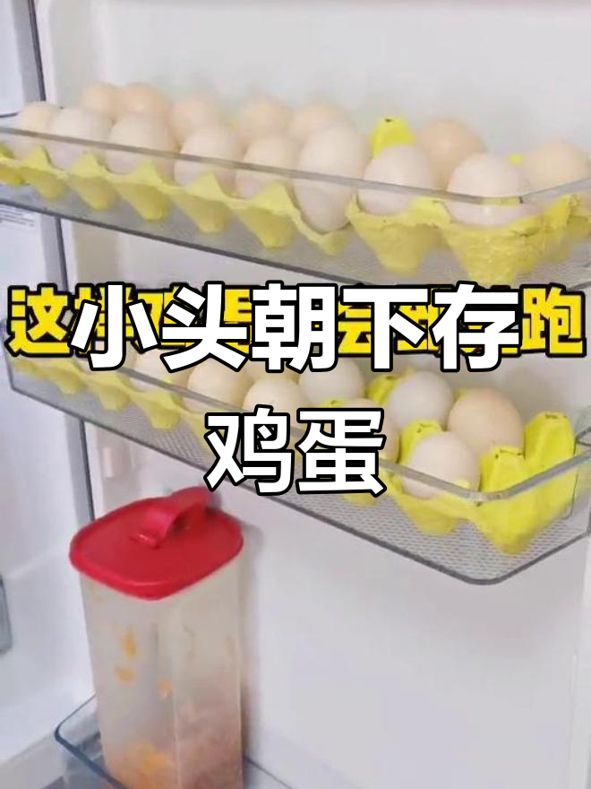 鸡蛋存放小窍门,废物利用更省心