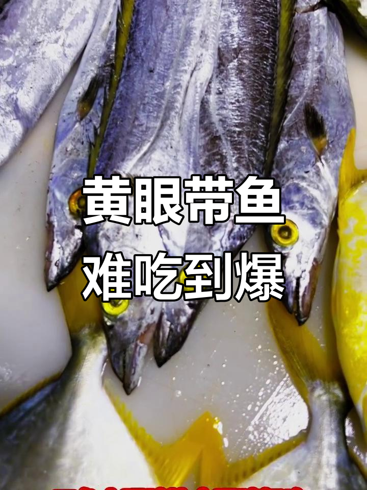 北海带鱼市场大揭秘:黄眼睛的不好吃,黑眼睛才是首选