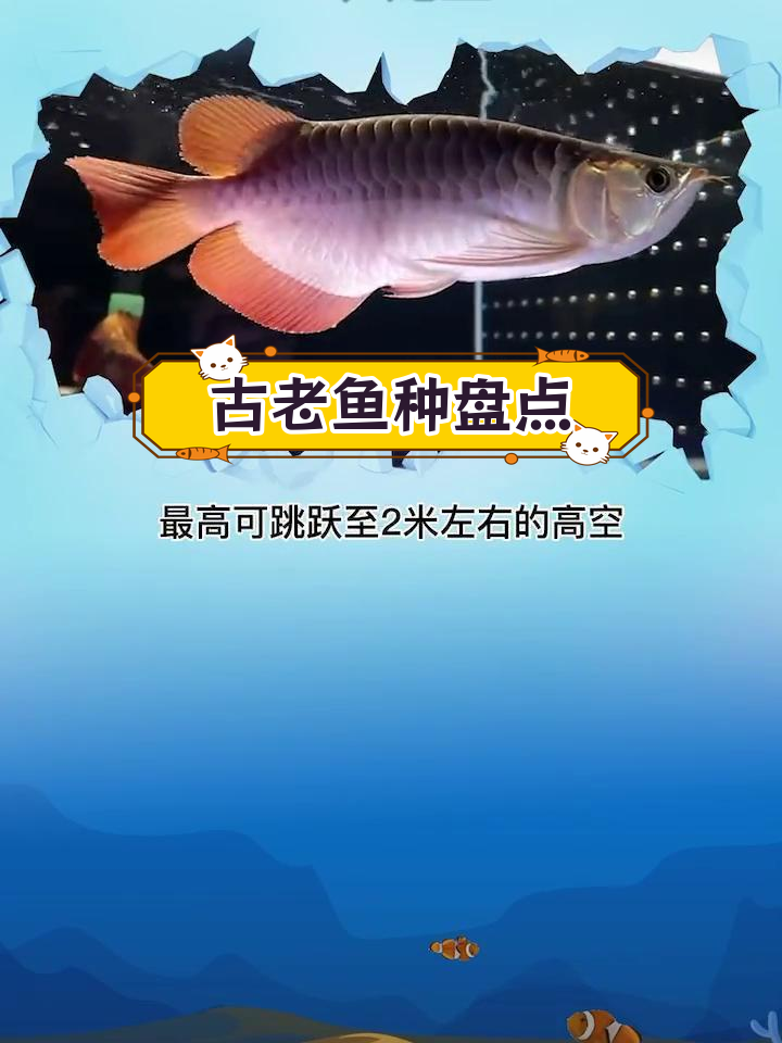 世界上最古老的十大鱼类
