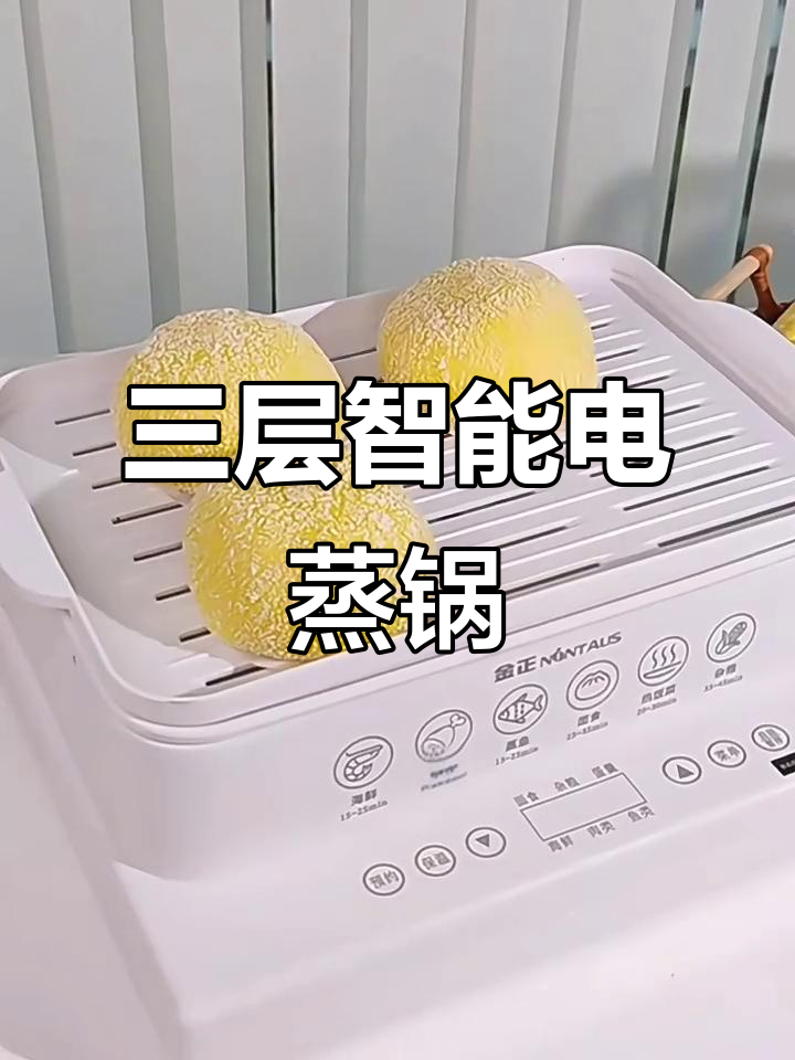 24L大容量智能蒸锅,透明可视设计让烹饪更轻松
