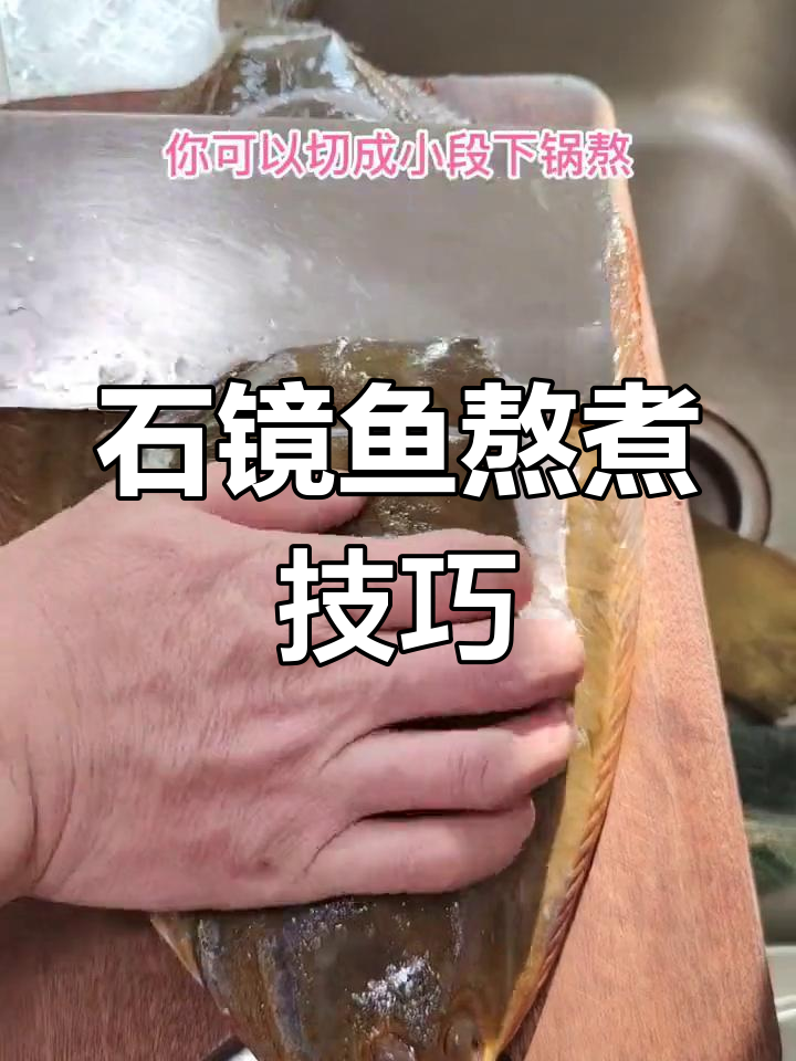 熬制石镜鱼,去内脏后用大白菜垫尾,去除杂质再浓汤