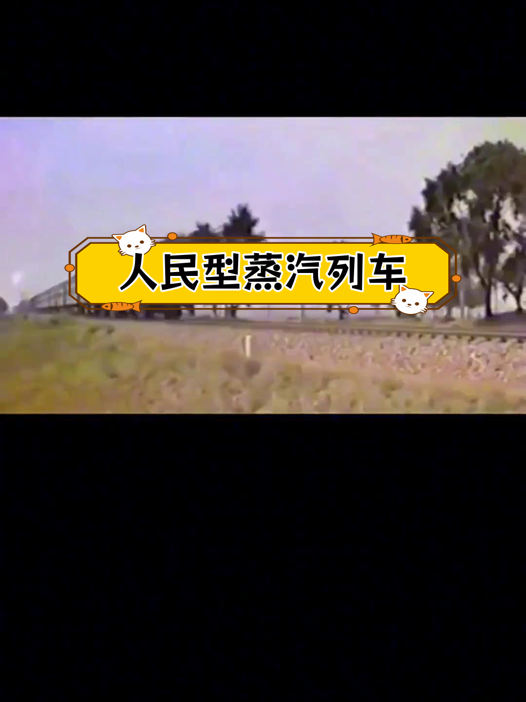 蒸汽机车牵引的绿皮火车回忆