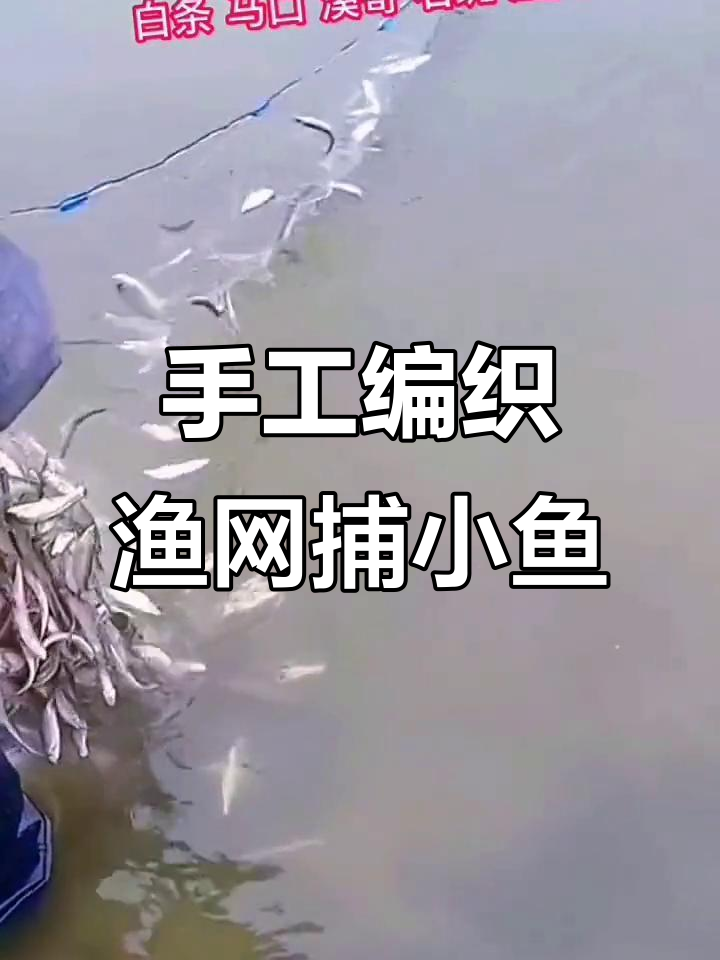 单层三层丝网捕鱼，白条餐条轻松抓