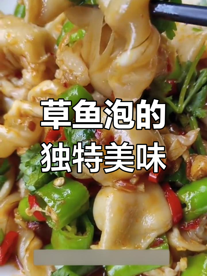 草鱼泡口感鲜美,铁板、炒菜皆宜,无腥味,绝对让你回味无穷!