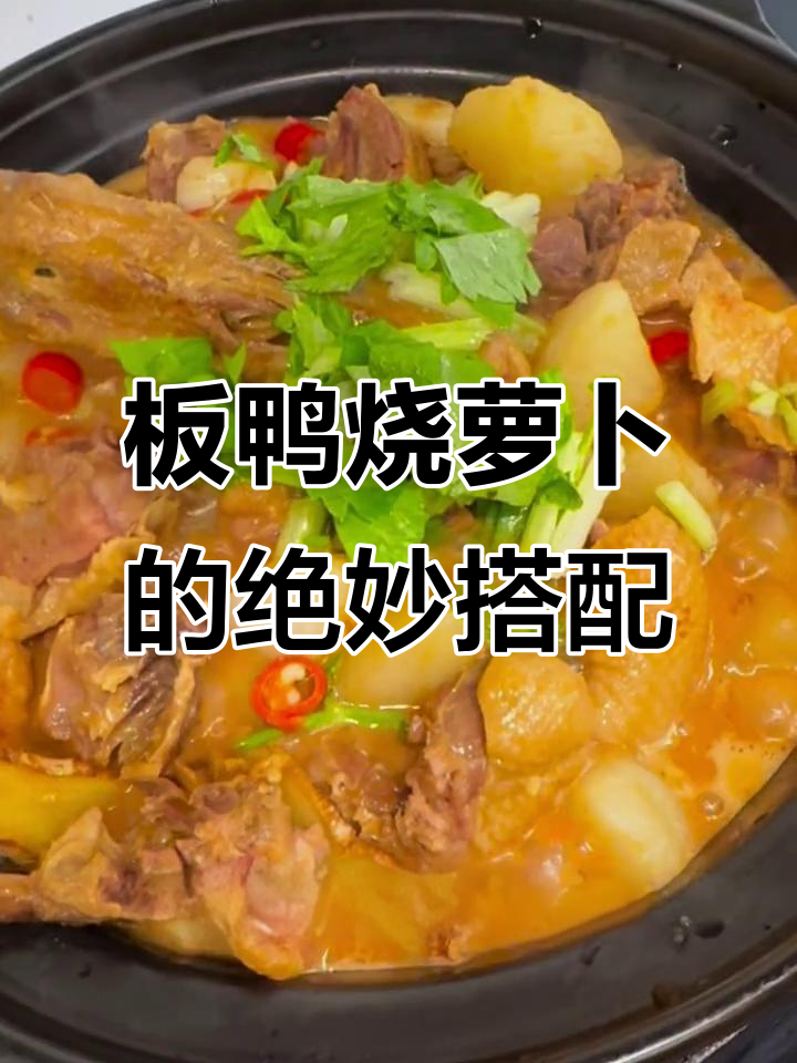 江西板鸭烧萝卜,香气扑鼻让人无法抗拒