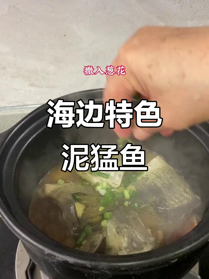 婆婆的砂锅焗泥猛鱼，鲜美又简单！海边人最爱吃这个