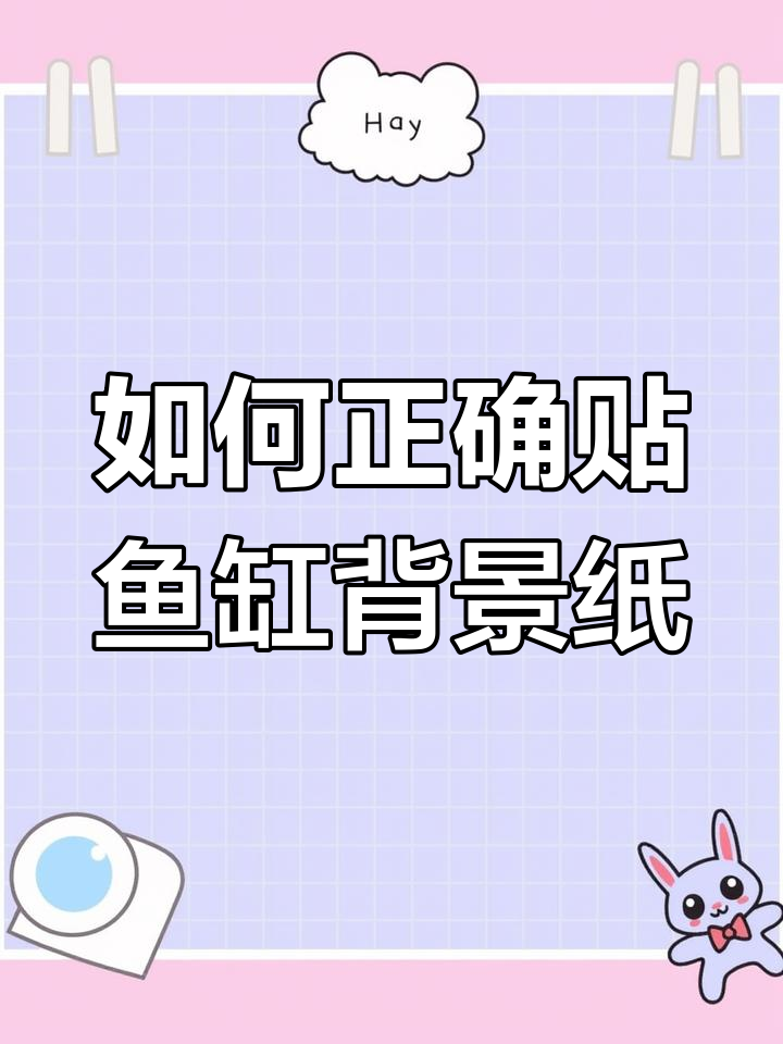 鱼缸背景纸贴法全攻略，轻松搞定！