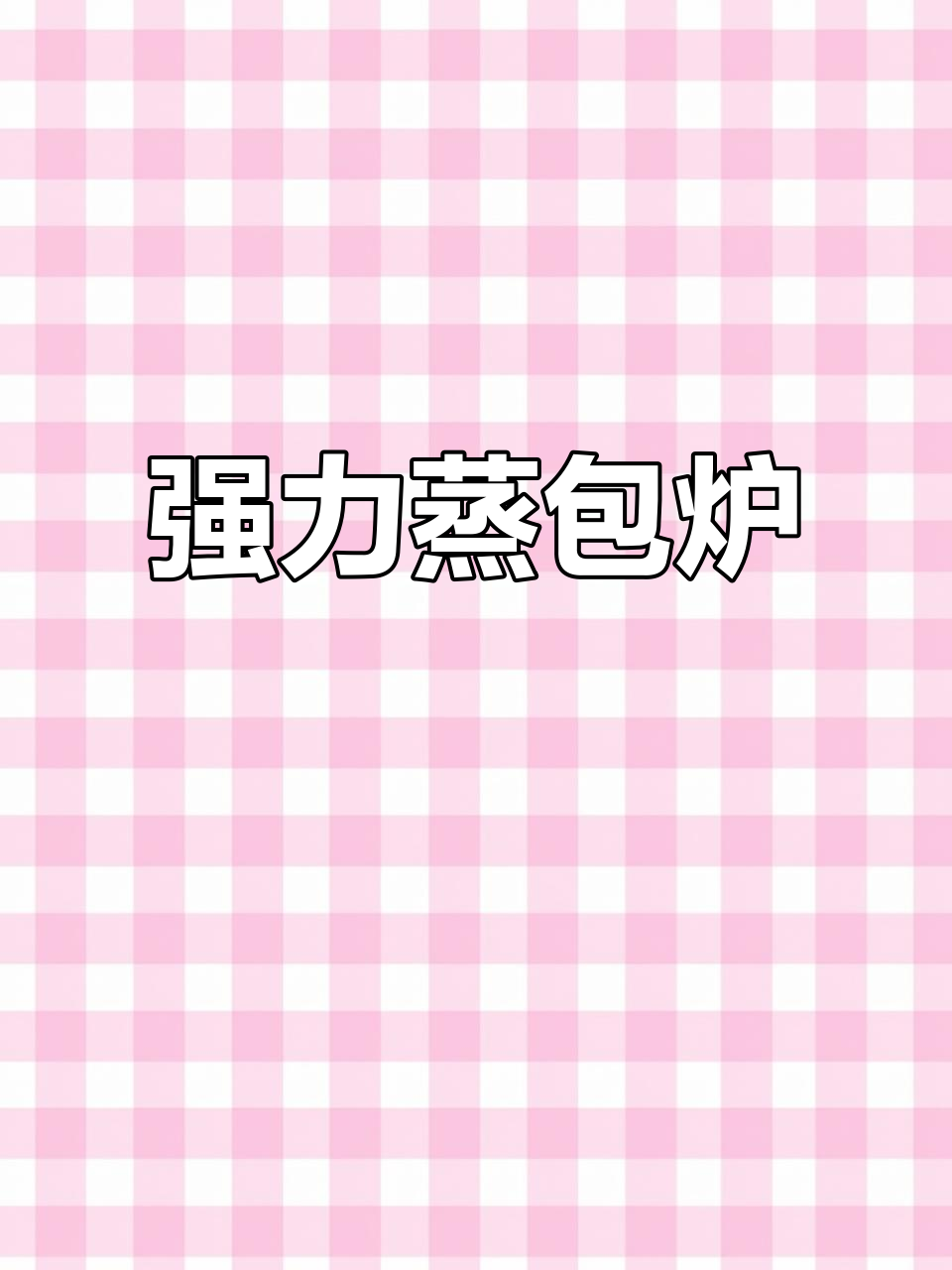 1米2蒸包炉,强劲蒸汽助力事业腾飞!