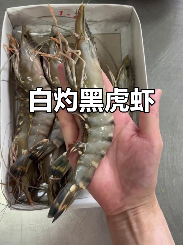 3分钟搞定白灼黑虎虾,鲜嫩无比!