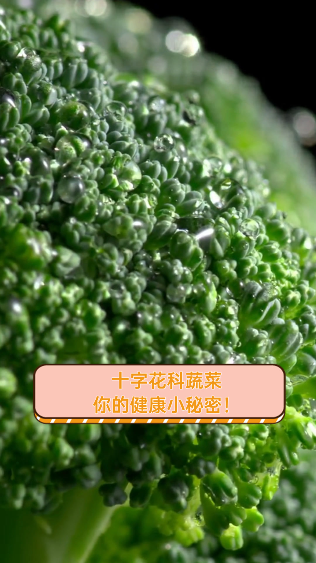 十字花科蔬菜,你的健康小秘密!