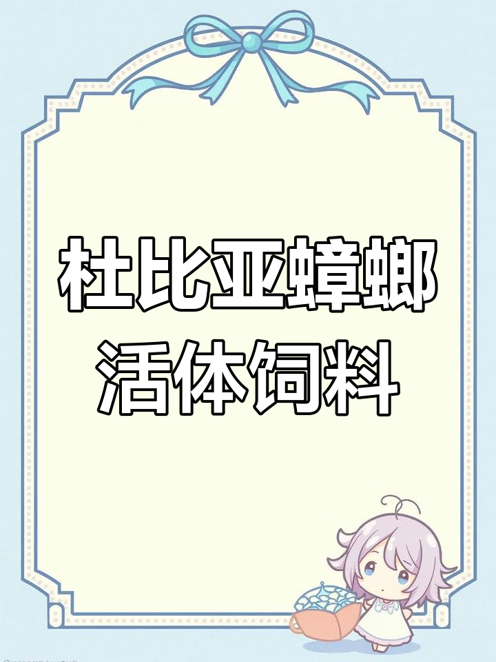 高蛋白杜比亚蟑螂饲料,宠物饲养必备