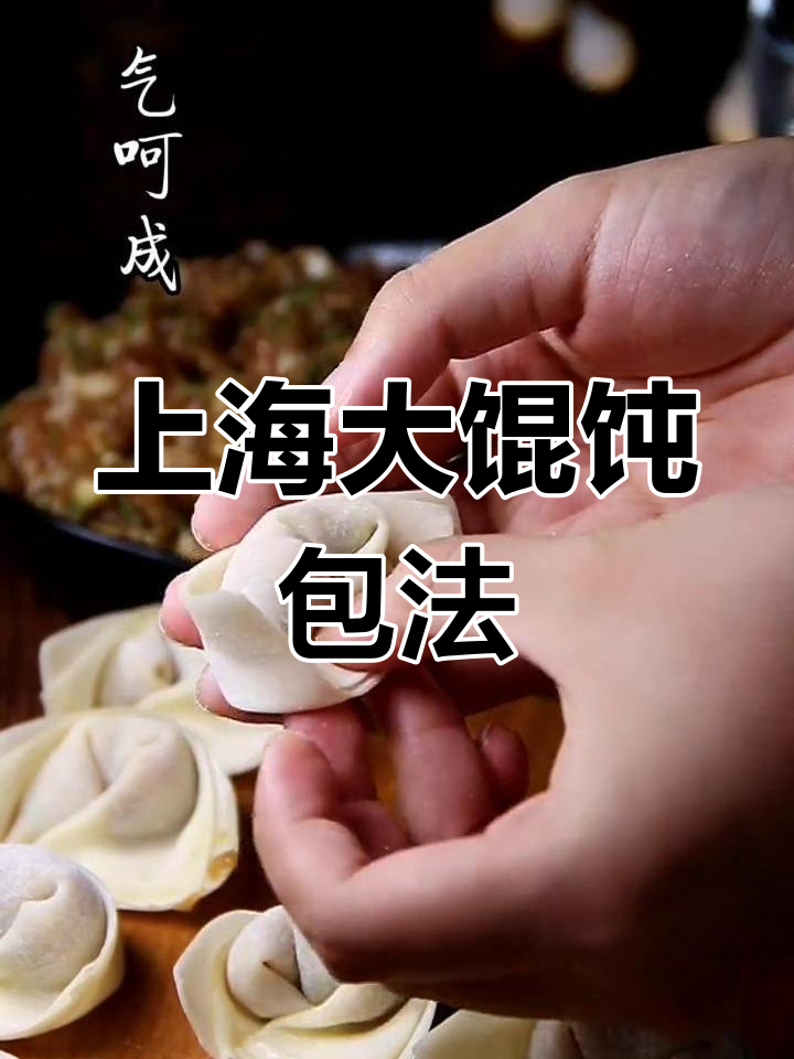 慢动作教你包上海大馄饨,元宝馄饨做法全揭秘
