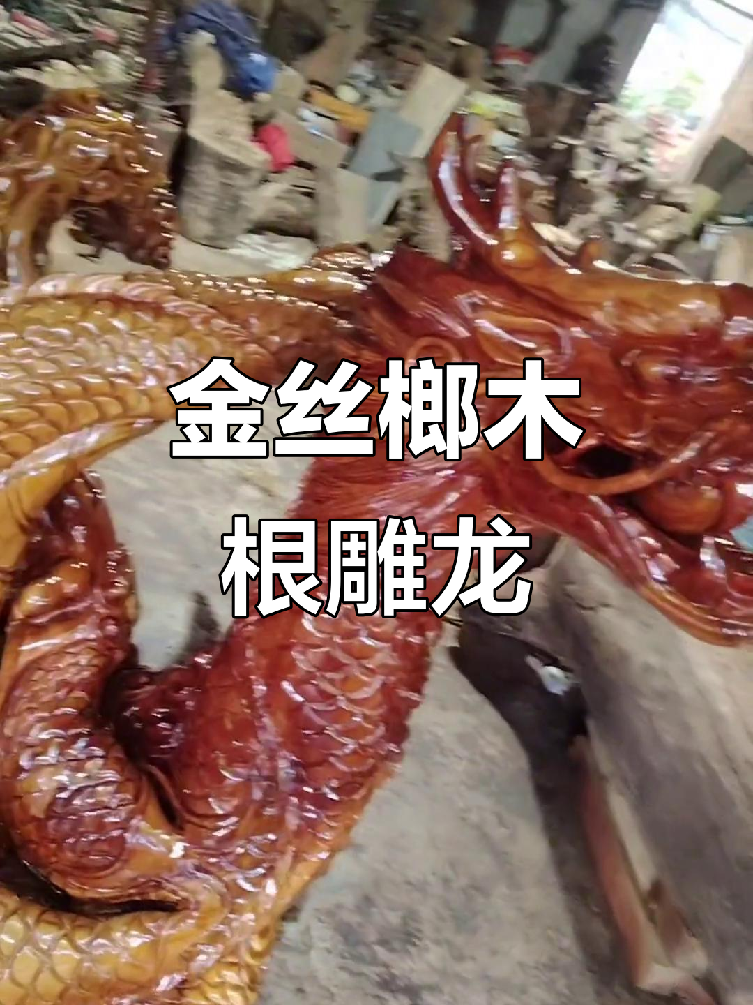 大型根雕龙,金丝榔木雕刻技艺展示