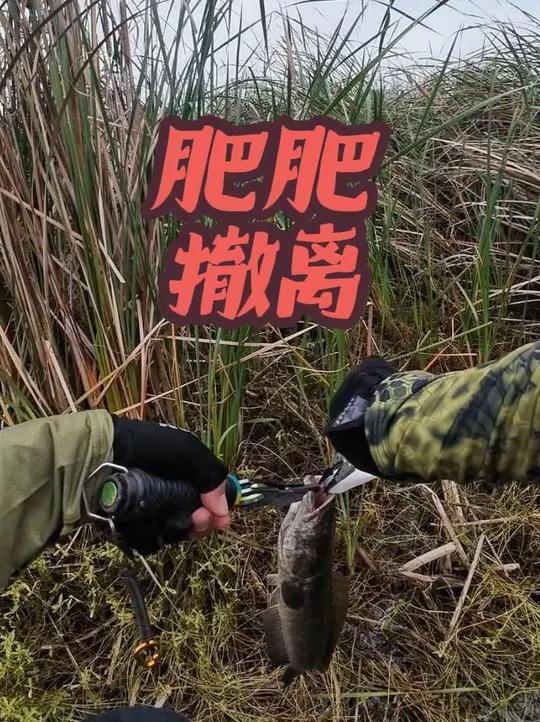 毒区的资源就是好 路亚路亚跑毒路亚黑鱼