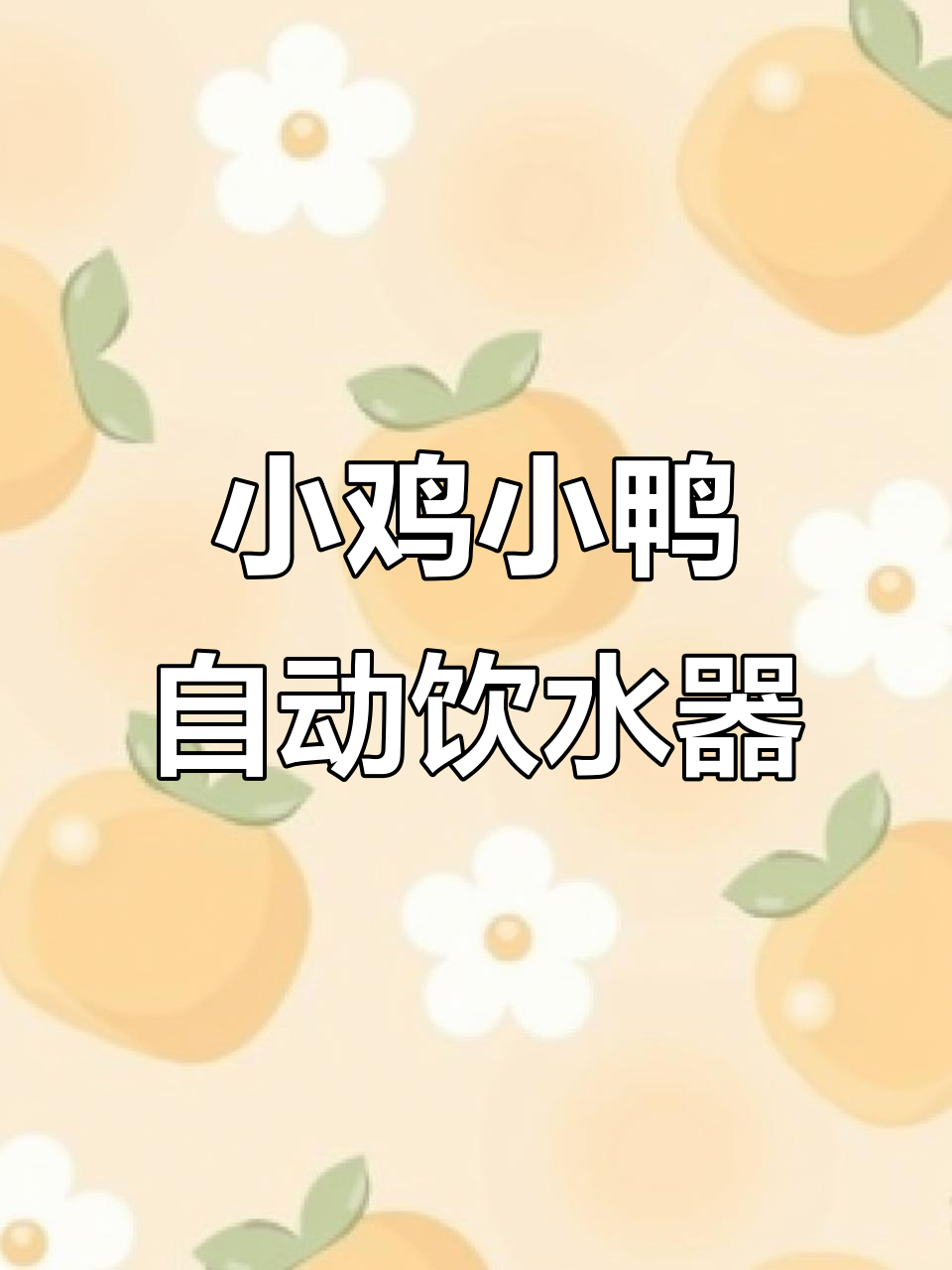 农村人发明自动饮水器,小鸡小鸭喝水更方便