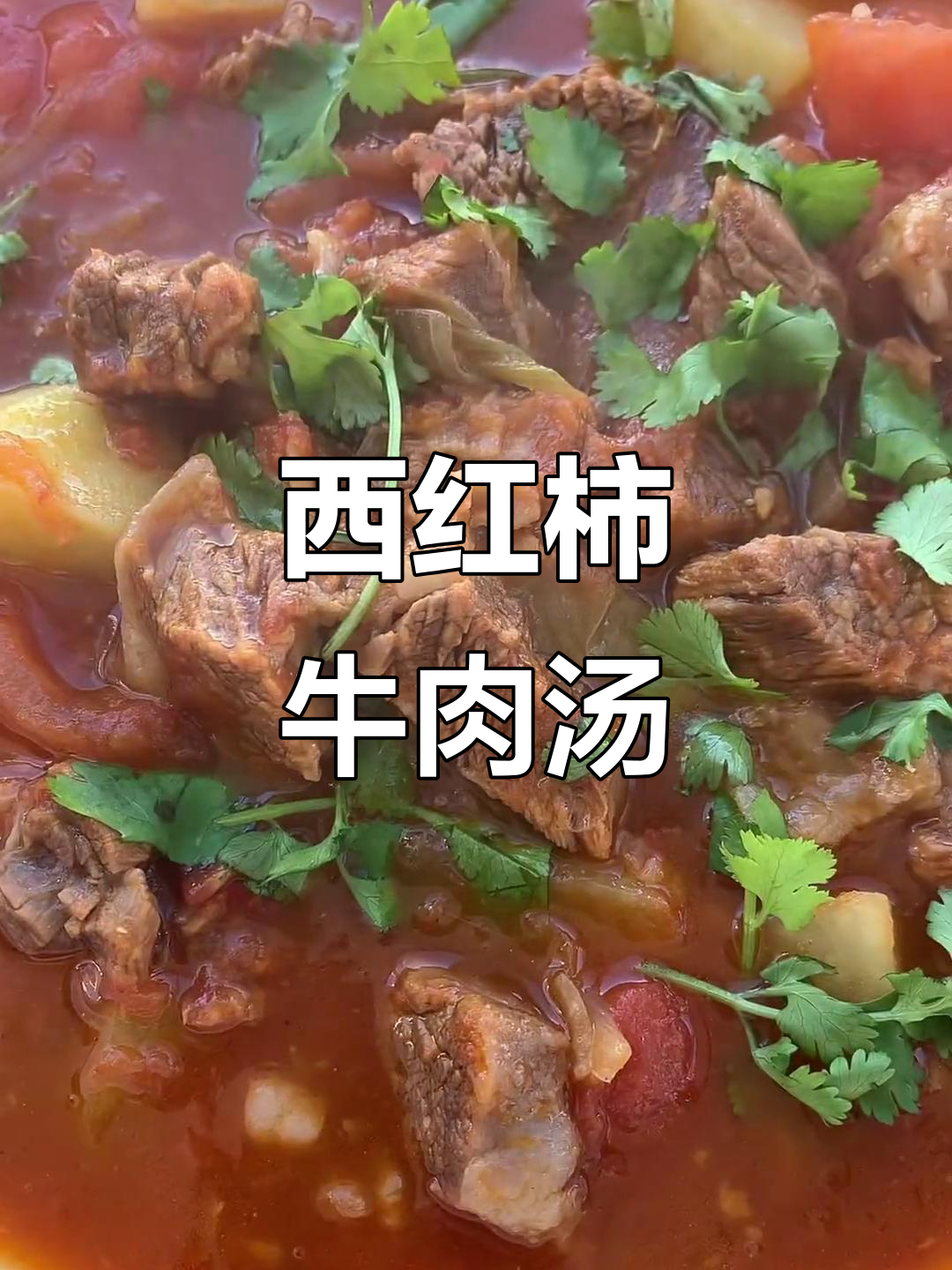 番茄牛腩炖出满满幸福感,土豆和调料一网打尽