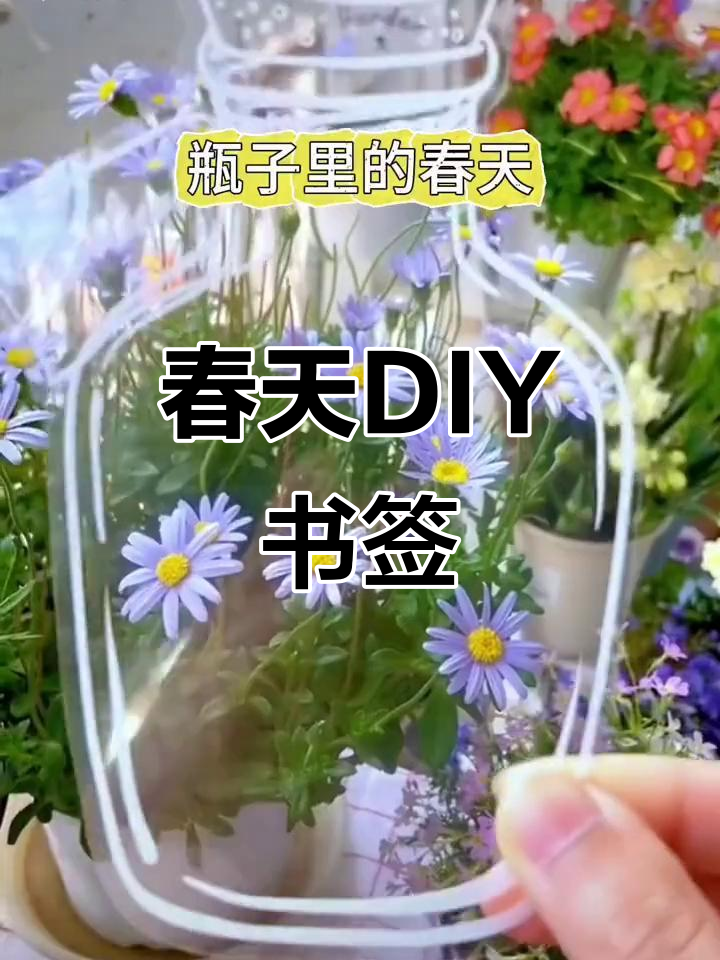 手工制作透明贴纸,春日植物标本书签,让瓶中充满生机