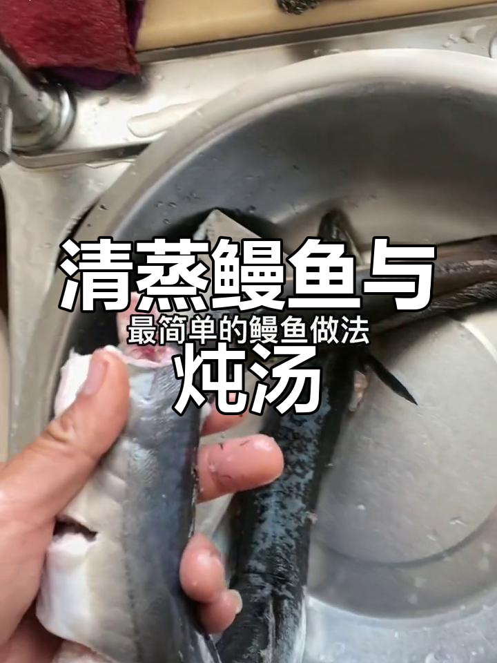 野生鳗鱼清蒸与煲汤的完美做法,简单又美味