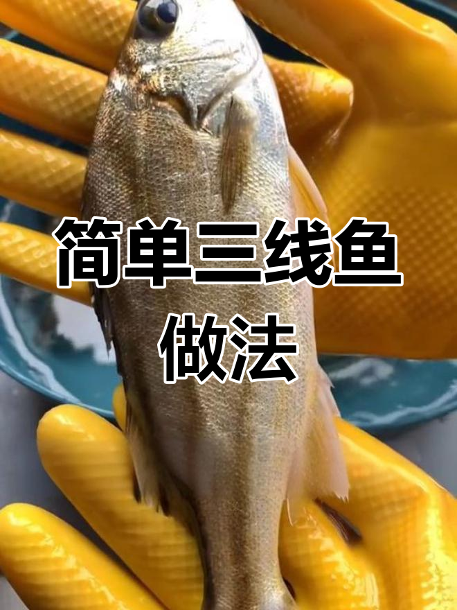 三线鱼酱油水煮,鲜美无刺