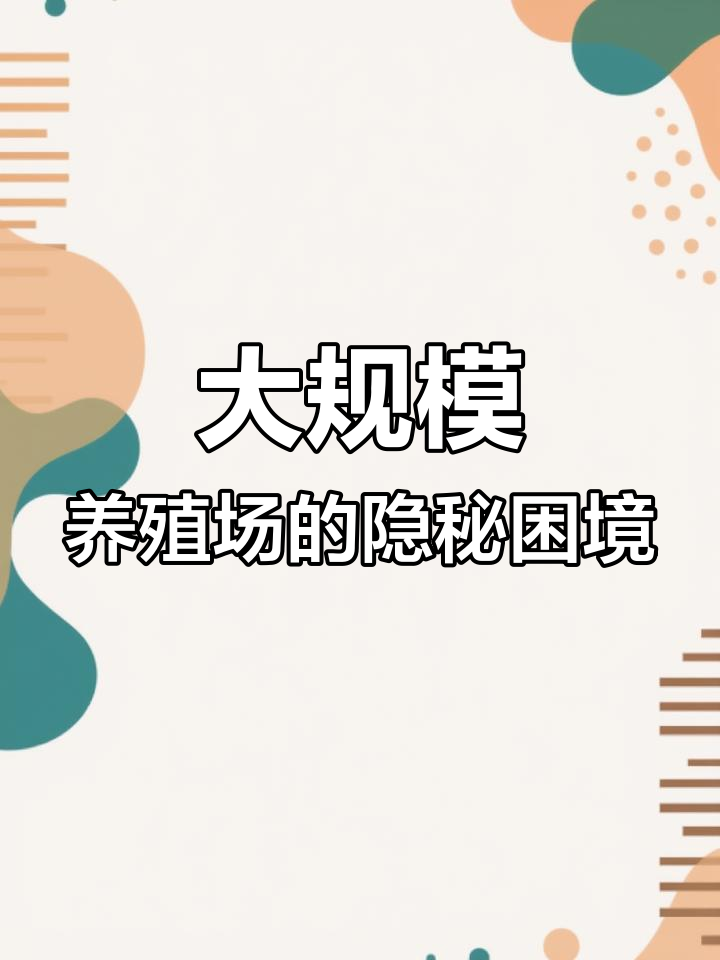 资本介入养殖业，散养户真的难了吗？大型鸡场背后的压力