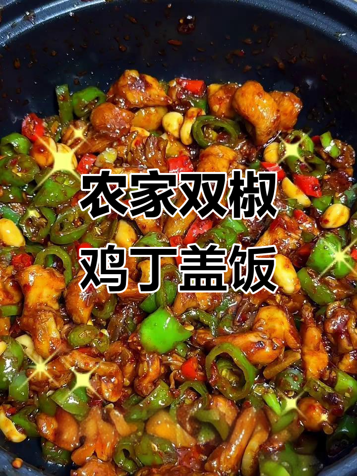 双椒鸡丁盖饭,辣味十足,米饭配鸡腿超下饭