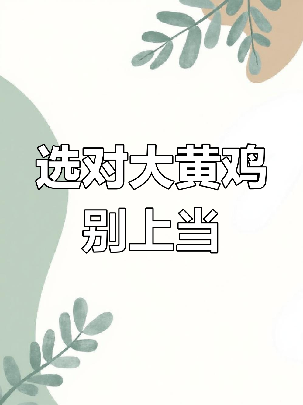 如何挑选越南大黄鸡?辨别真伪避免被骗