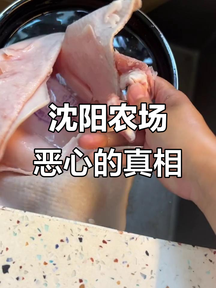 沈阳开心农场猪皮下的秘密,肥肉满满让人恶心