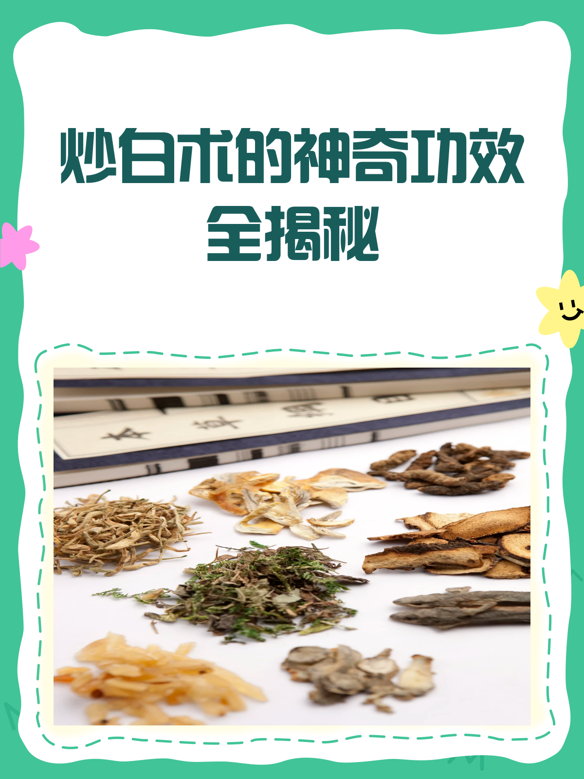 揭秘炒白术:健脾利湿安胎的神奇草药!