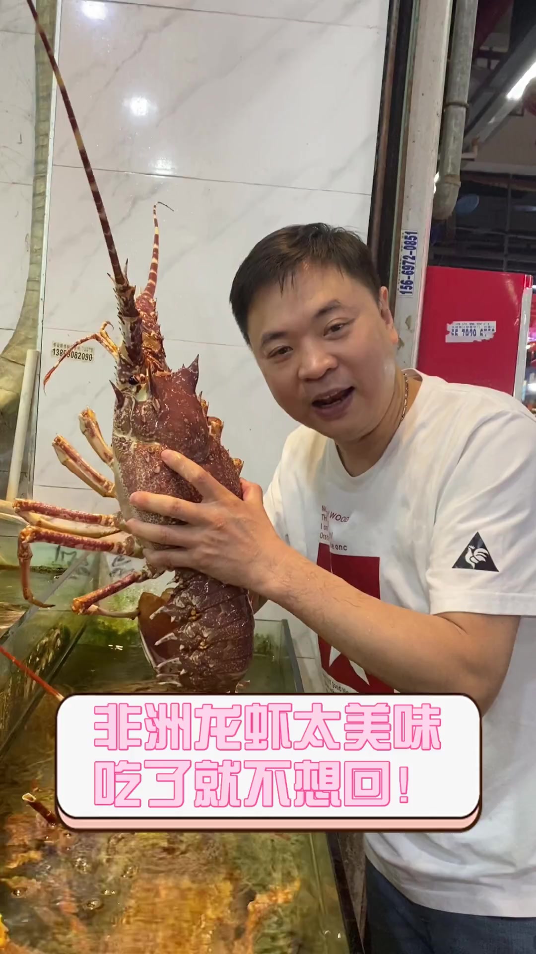非洲龙虾太美味,吃了就不想回!