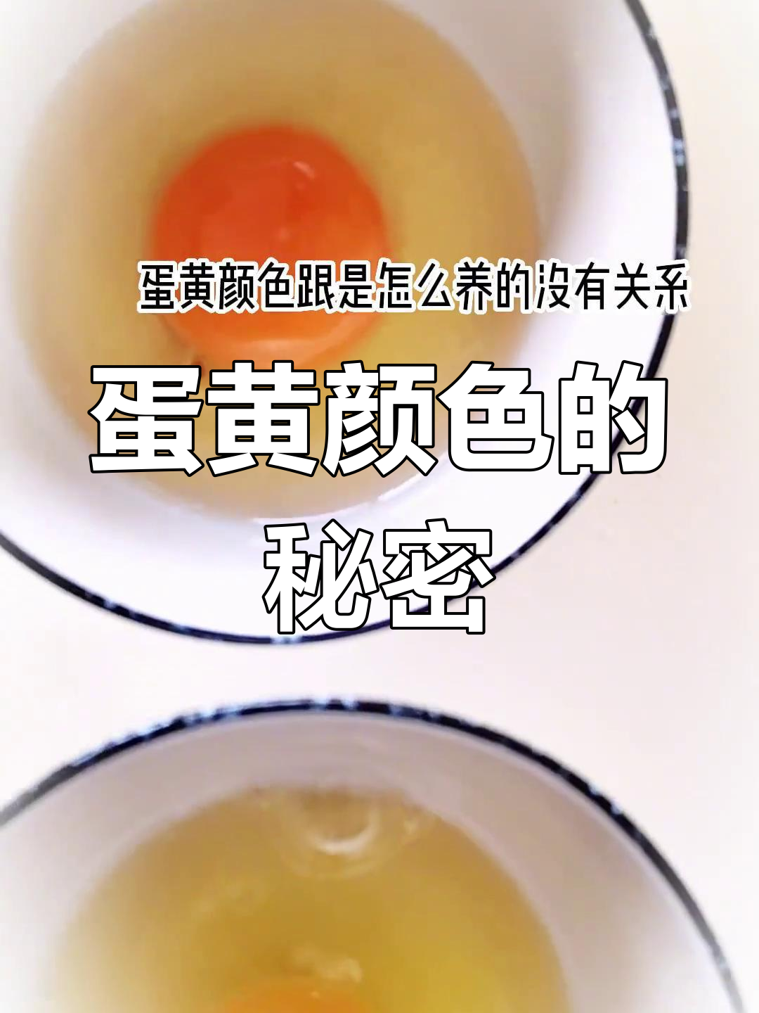 鸡蛋黄颜色差异的真相