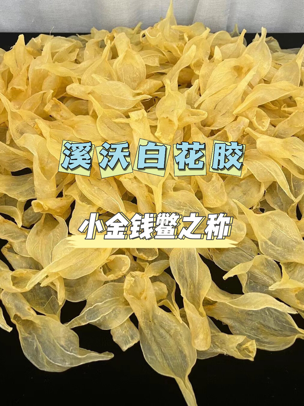 溪沃白花胶,小金钱鳖之称的名贵鱼胶