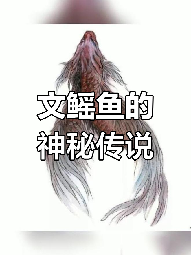 山海经异兽揭秘:文鳐鱼与丰收之兆