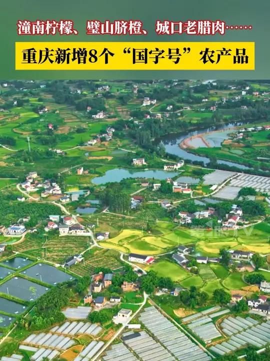 潼南柠檬、璧山脐橙、城口老腊肉、彭水核桃……重庆8个农产品入选《2025年第一批全国名特优