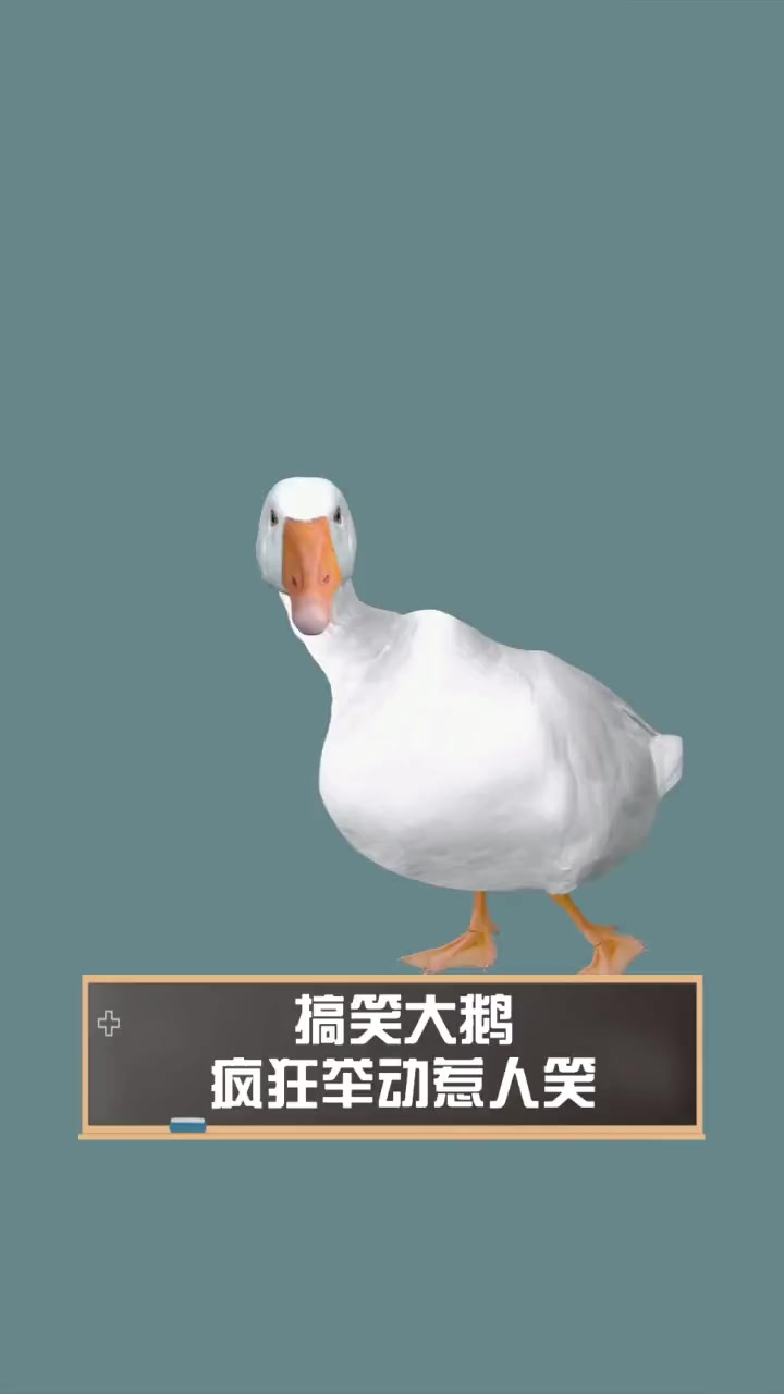 搞笑大鹅,疯狂举动惹人笑
