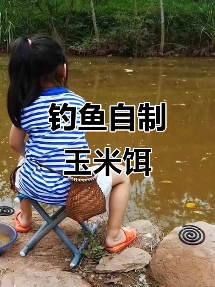自制玉米饵料,鲤鱼草鲫最爱!